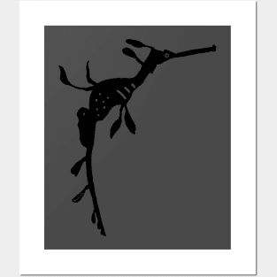 Weedy sea dragon (Phyllopteryx taeniolatus) silhouette Posters and Art